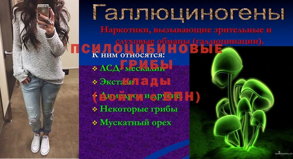 mdpv Няндома