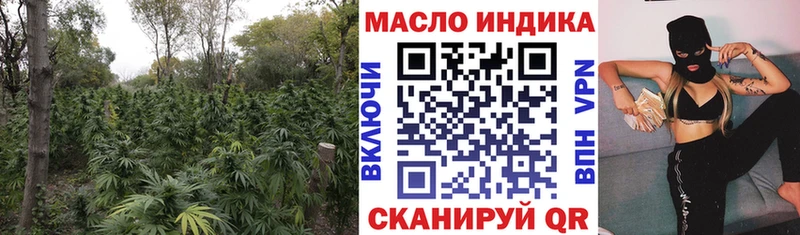 Купить закладки  Касли  Дистиллят ТГК THC oil 